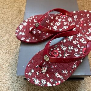 Coach Burgundy Floral Sandals